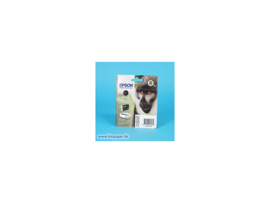 Epson Tintenpatrone schwarz (T0891)