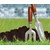 edding 8055 Outdoormarker schwarz, Rundspitze 1-2 mm (Art.-Nr.: 4-8055-1-1001)
