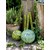 edding 1255 Kalligrafiestift Schwarz, Kalligrafie Spitze 2 mm (Art.-Nr.: 4-125520-001)