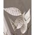 edding 2185 Gelroller 7er Set sortiert Standard, Rollerspitze 0,7 mm (Art.-Nr.: 4-2185-7099)