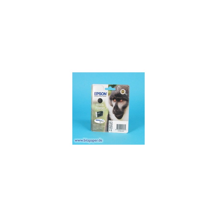 Epson Tintenpatrone schwarz (T0891)