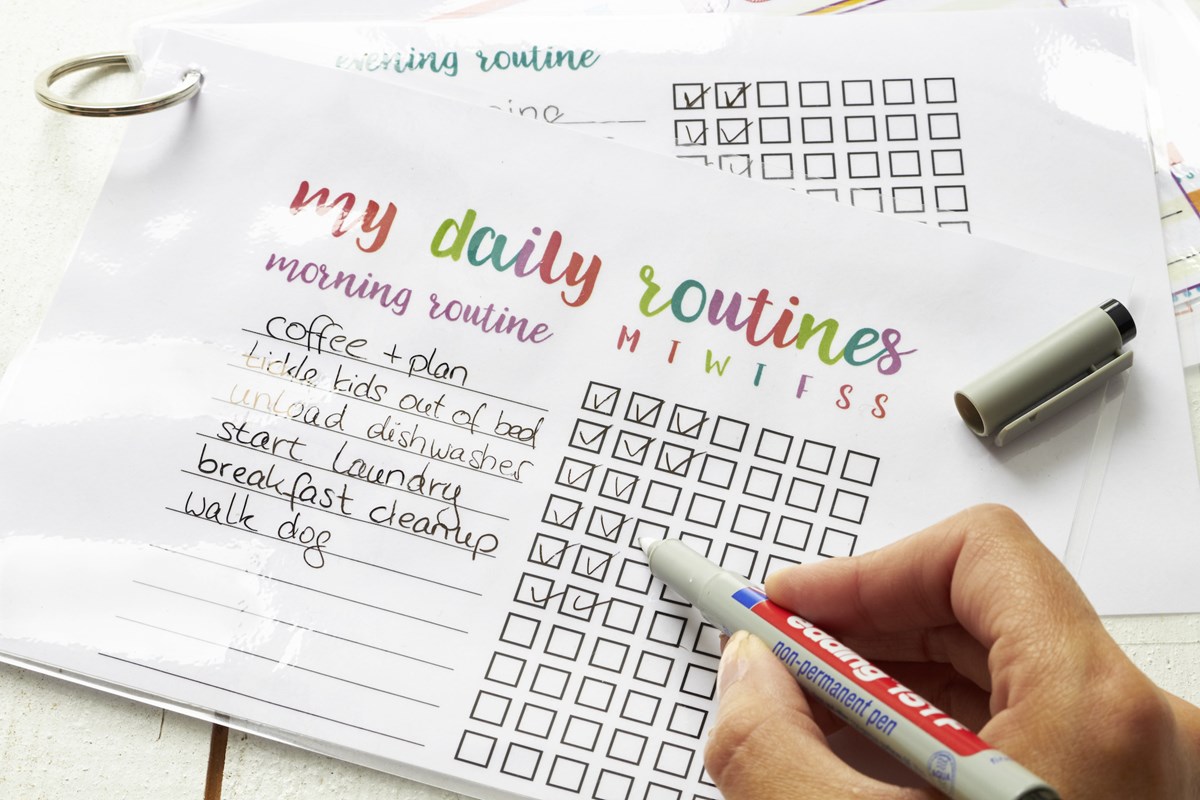 edding 151 F Non-permanenter Folienschreiber 4er Set sortiert, Rundspitze 0,6 mm (Art.-Nr.: 4-151-4)