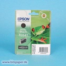 Epson Tintentank photo black