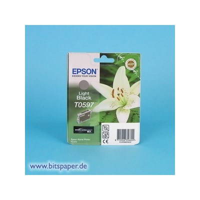 Epson Tintentank light schwarz (Art.-Nr.: C13T059740)